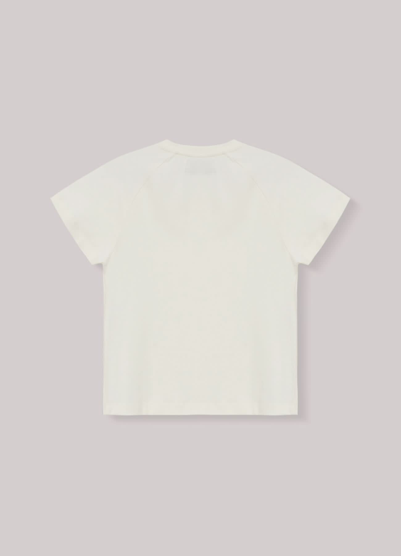 Camiseta Raglan In And Out Feminina