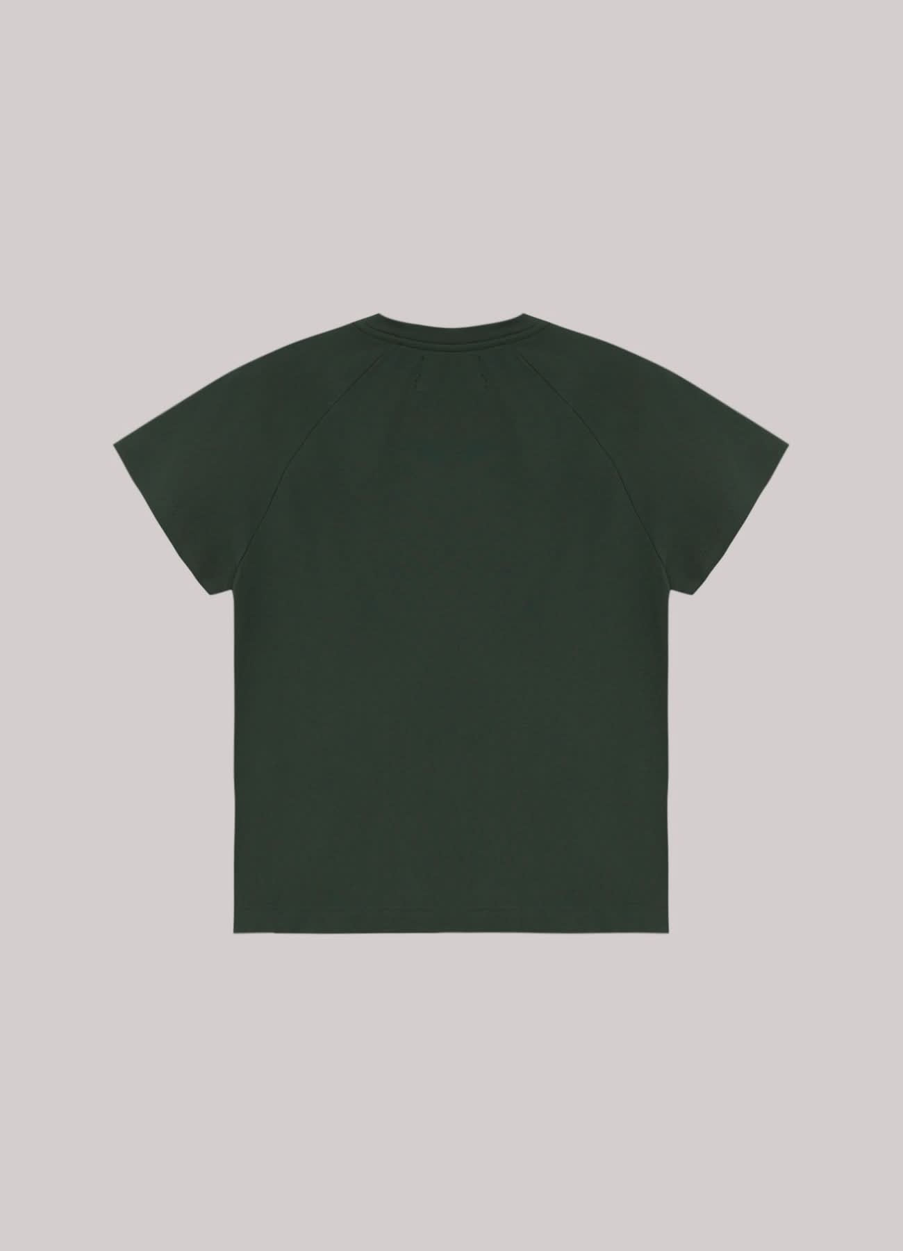 Camiseta Raglan In And Out Feminina