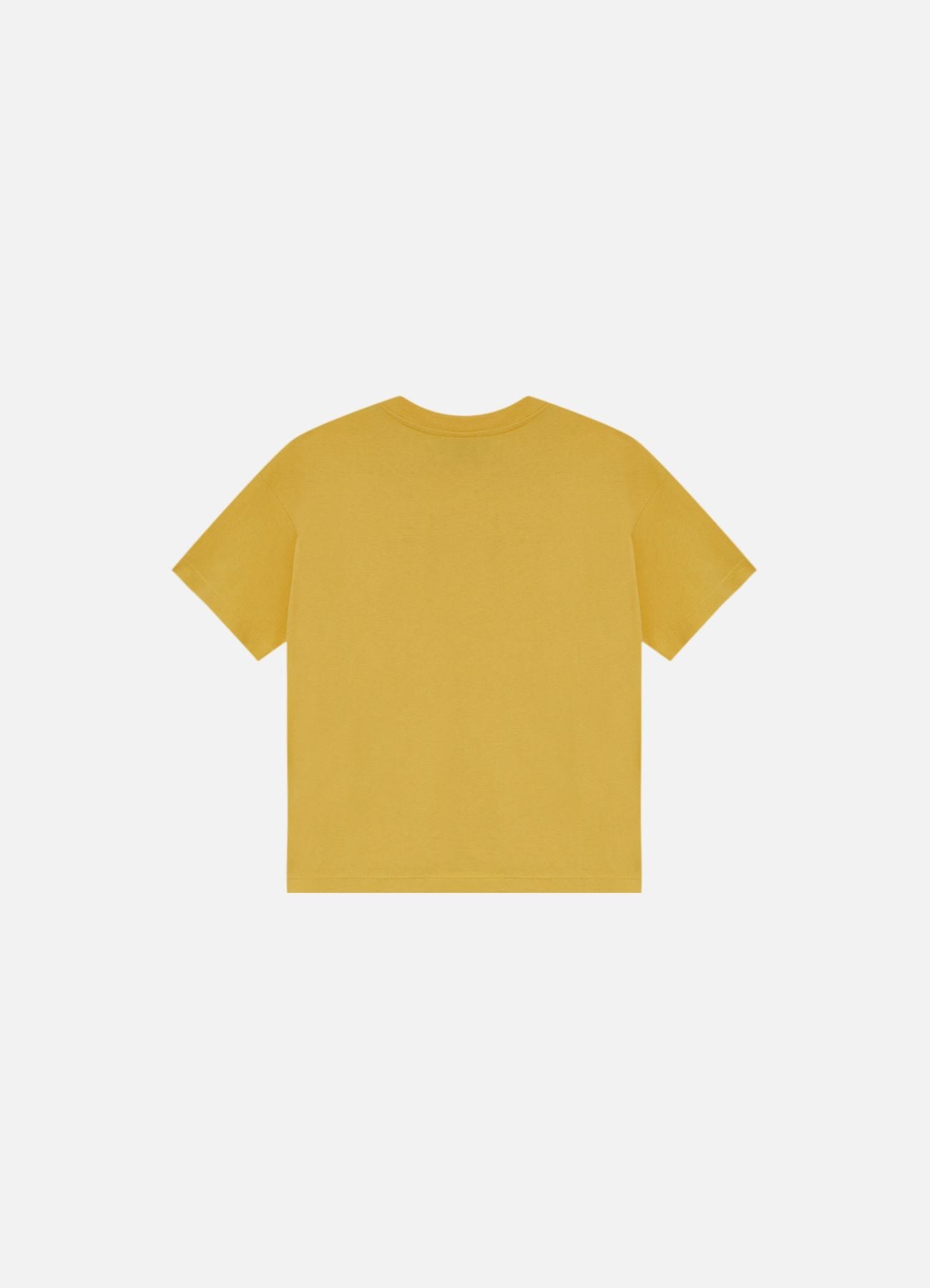 Camiseta Slyce & Triya