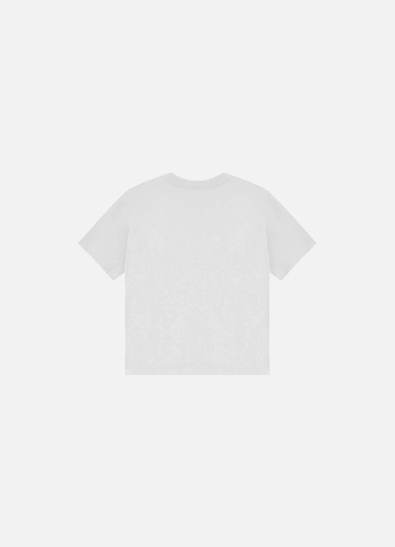 Camiseta Slyce & Triya