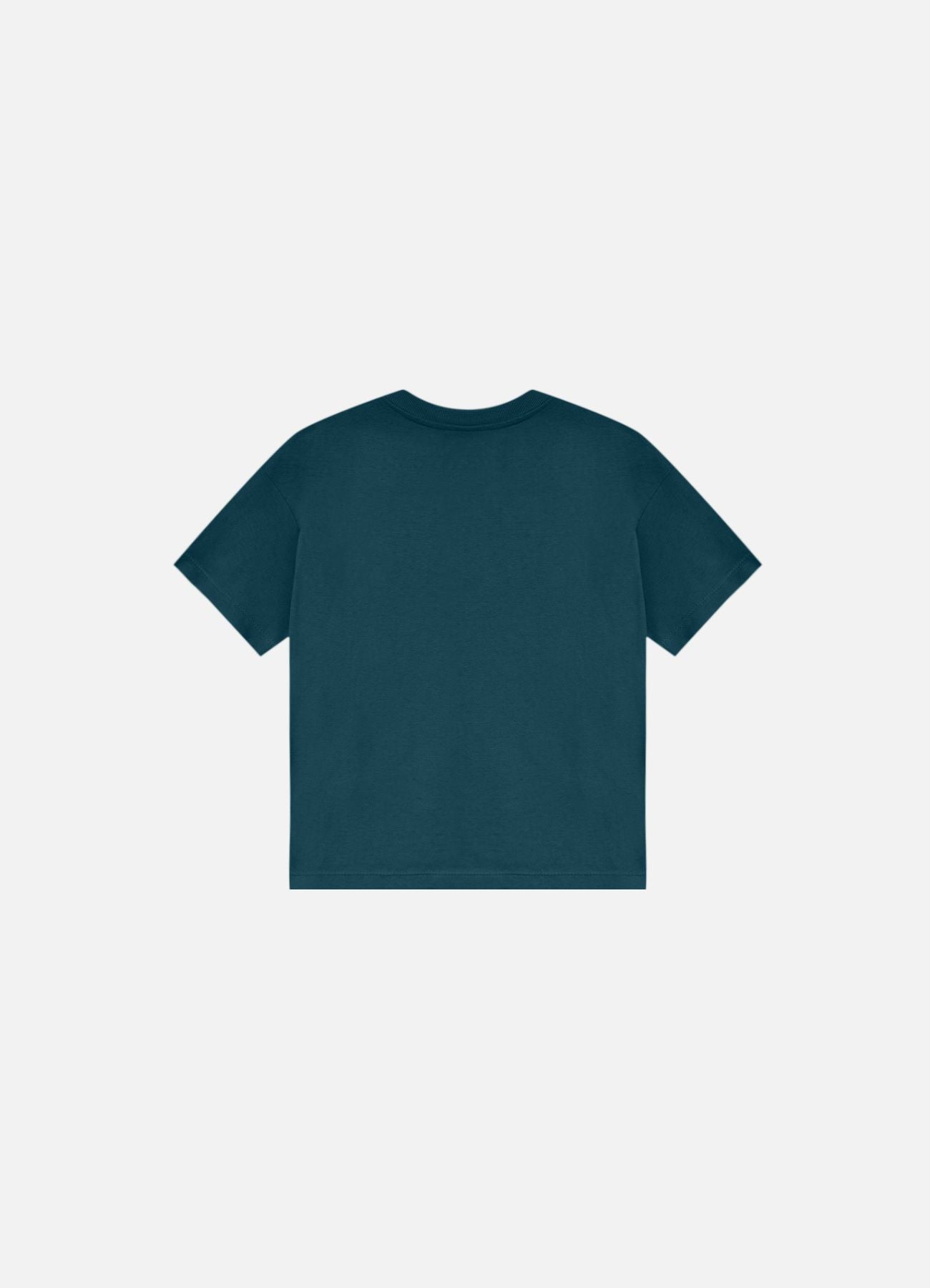 Camiseta Slyce & Triya
